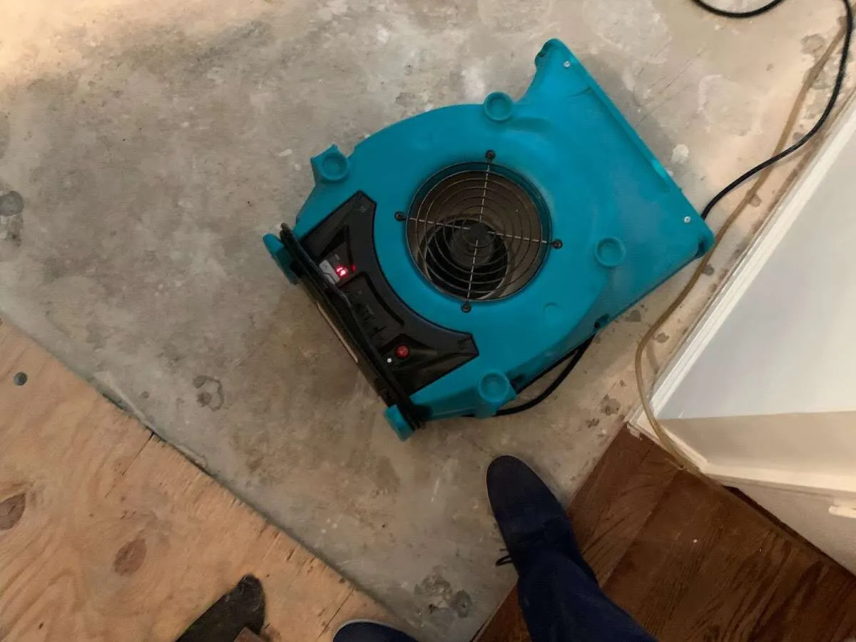 Air mover drying subfloor during Leak Detection & Repair in Fernandina Beach